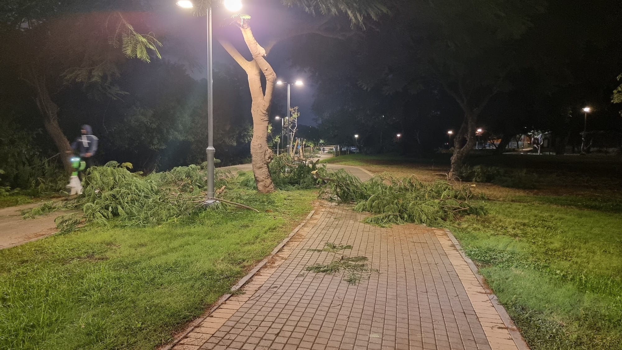 WhatsApp Image 2022-11-09 at 12.22.15 PM.jpeg